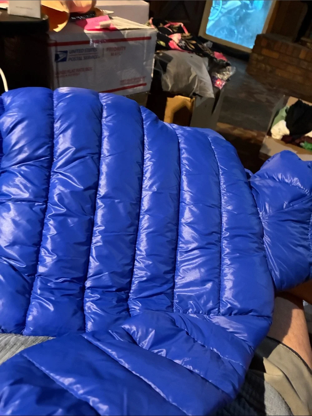 Bright Royal Blue Puffer Baby Jacket with Hood with ears